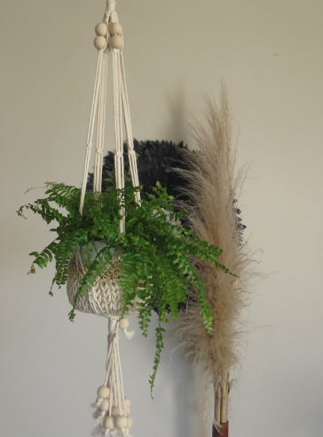 Plant Hanger with Macrame Basket