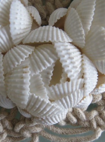 Heart Shaped Sea Shell Decor
